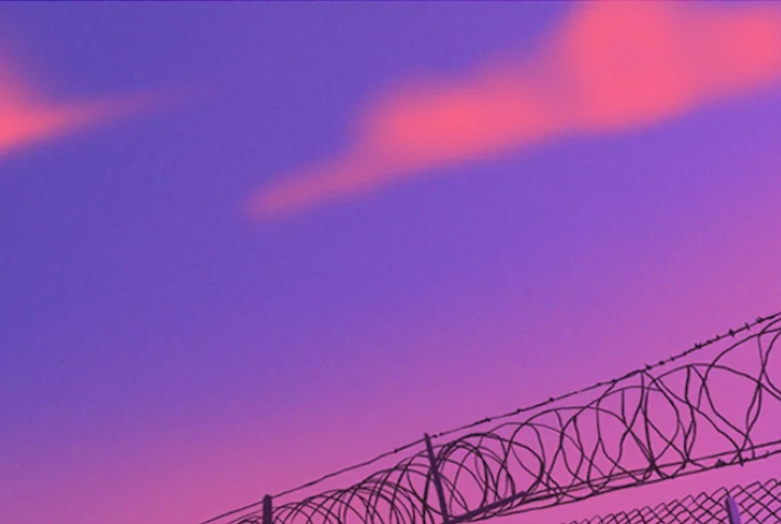 Barbed Wire Sky