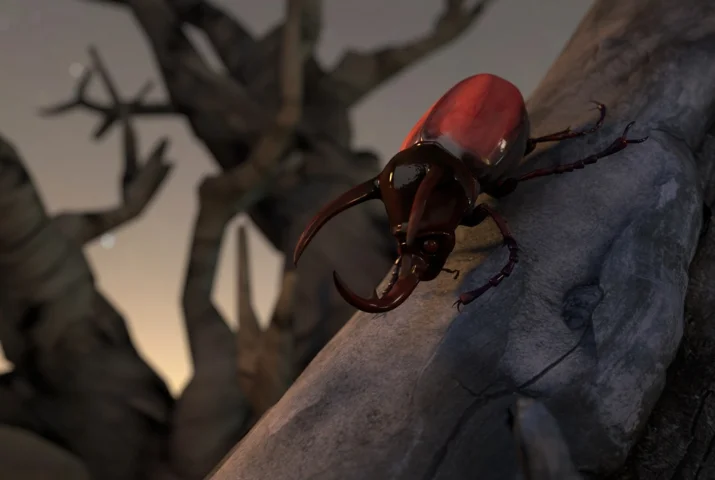 Rhino Beetle