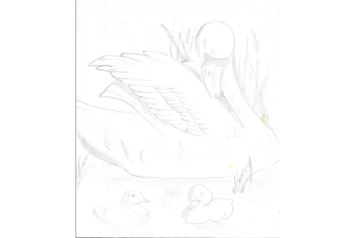 Watching Over